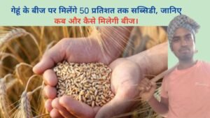 शादी की सीजन शुरू होने से पहले ही बढ़ी गेंदे के फूल की मांग।