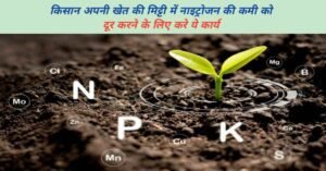किसान अपनी खेत की मिट्टी में नाइट्रोजन की कमी को दूर करने के लिए करे ये कार्य