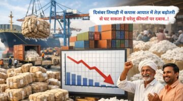 दिसंबर तिमाही में कपास आयात में तेज़ बढ़ोतरी से घट सकता है घरेलू कीमतों पर दबाव..!