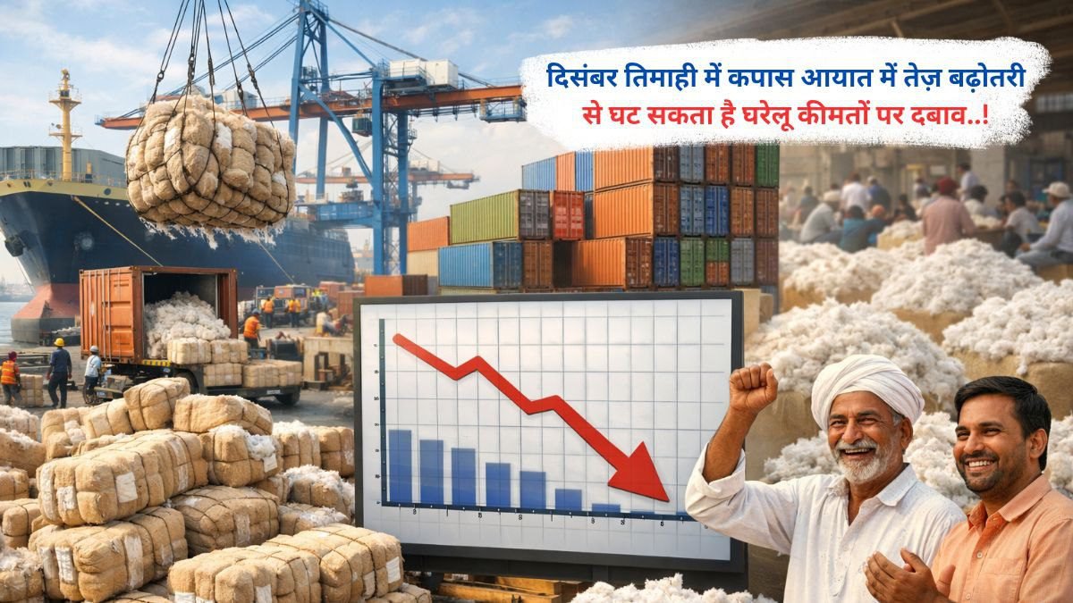 दिसंबर तिमाही में कपास आयात में तेज़ बढ़ोतरी से घट सकता है घरेलू कीमतों पर दबाव..!