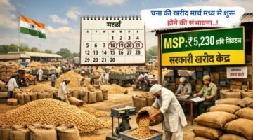 चना की खरीद मार्च मध्य से शुरू होने की संभावना..!