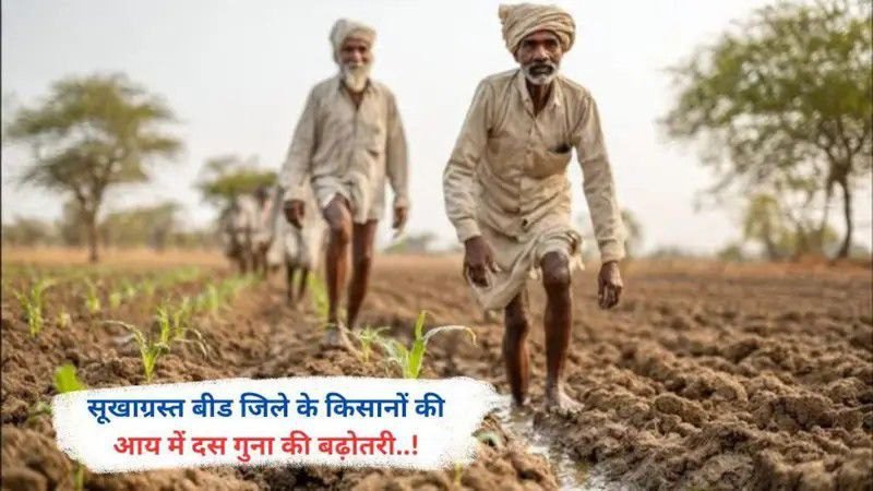 सूखाग्रस्त बीड जिले के किसानों की आय में दस गुना की बढ़ोतरी..!