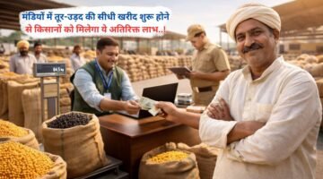 मंडियों में तूर-उड़द की सीधी खरीद शुरू होने से किसानों को मिलेगा ये अतिरिक्त लाभ..!