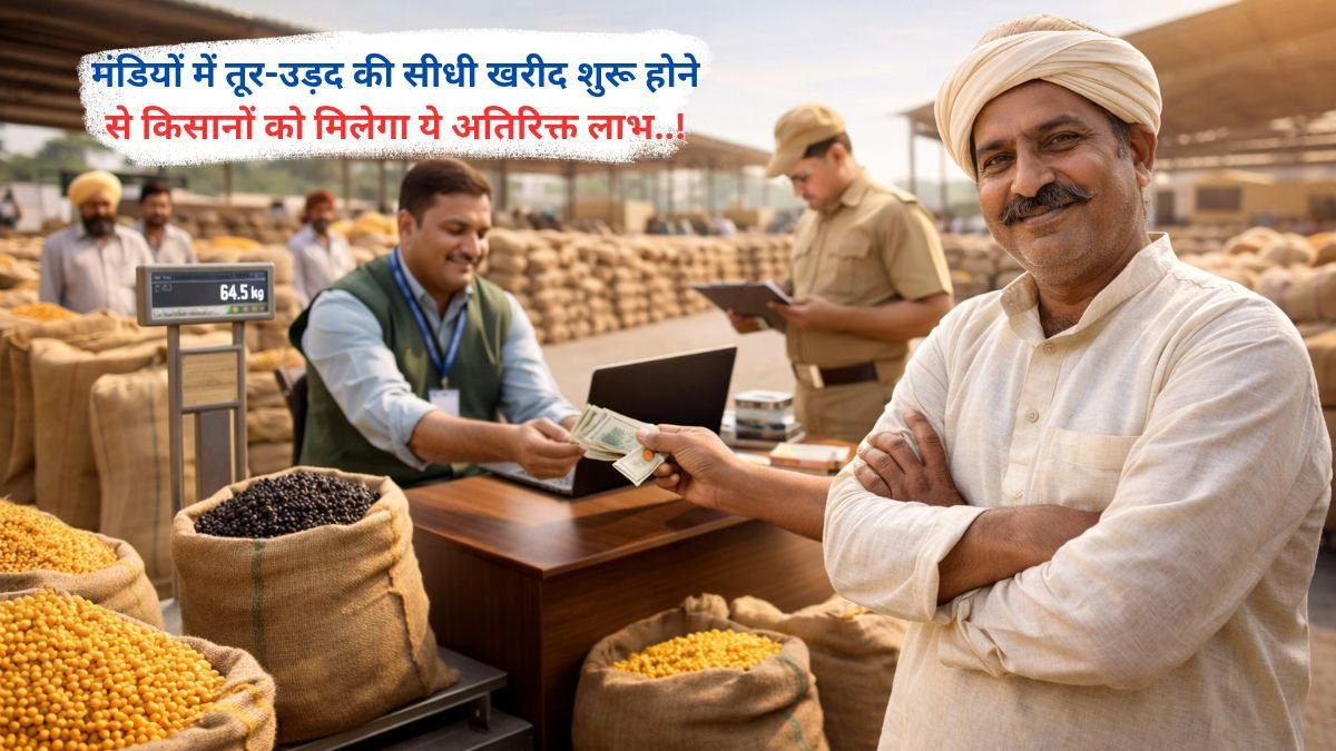 मंडियों में तूर-उड़द की सीधी खरीद शुरू होने से किसानों को मिलेगा ये अतिरिक्त लाभ..!