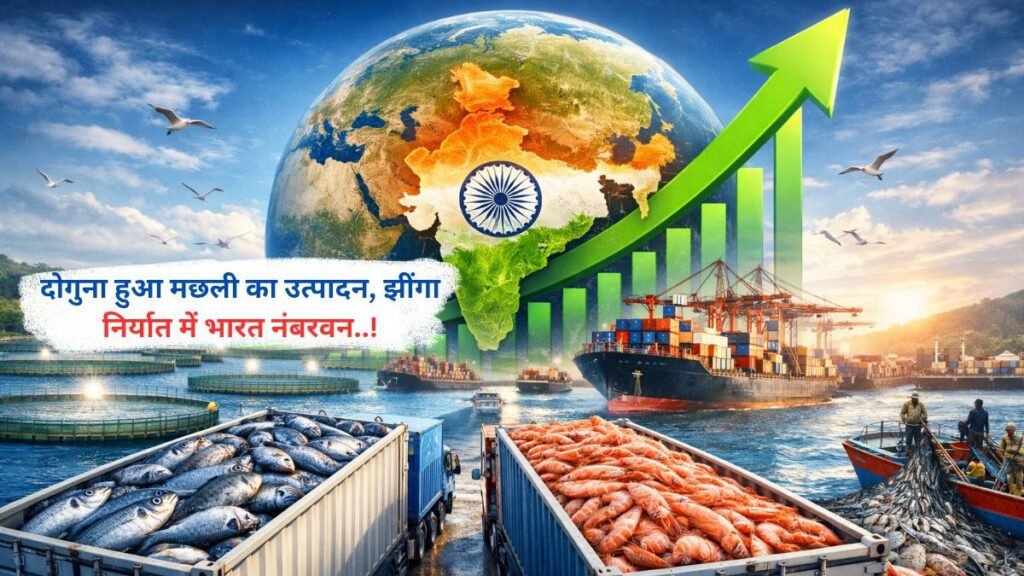 दोगुना हुआ मछली का उत्पादन, झींगा निर्यात में भारत नंबरवन..!