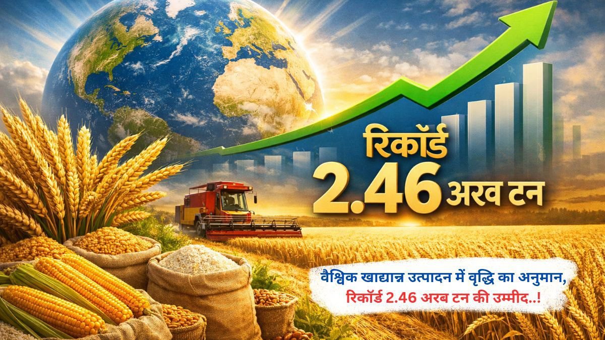 वैश्विक खाद्यान्न उत्पादन में वृद्धि का अनुमान, रिकॉर्ड 2.46 अरब टन की उम्मीद..!