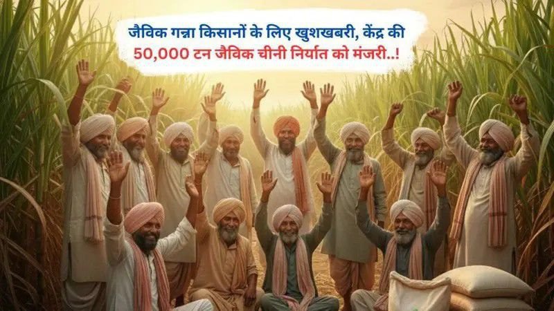 जैविक गन्ना किसानों के लिए खुशखबरी, केंद्र की 50,000 टन जैविक चीनी निर्यात को मंजरी..!