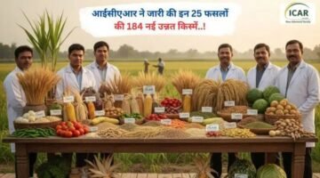 आईसीएआर ने जारी की इन 25 फसलों की 184 नई उन्नत किस्में..!