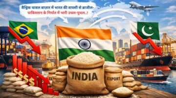वैश्विक चावल बाज़ार में भारत की वापसी से ब्राजील-पाकिस्तान के निर्यात में भारी उथल-पुथल..!
