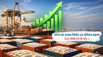 भारत का चावल निर्यात 19 प्रतिशत बढ़कर 215 लाख टन के पार..!