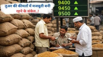 तुअर की कीमतों में मजबूती बनी रहने के संकेत..!