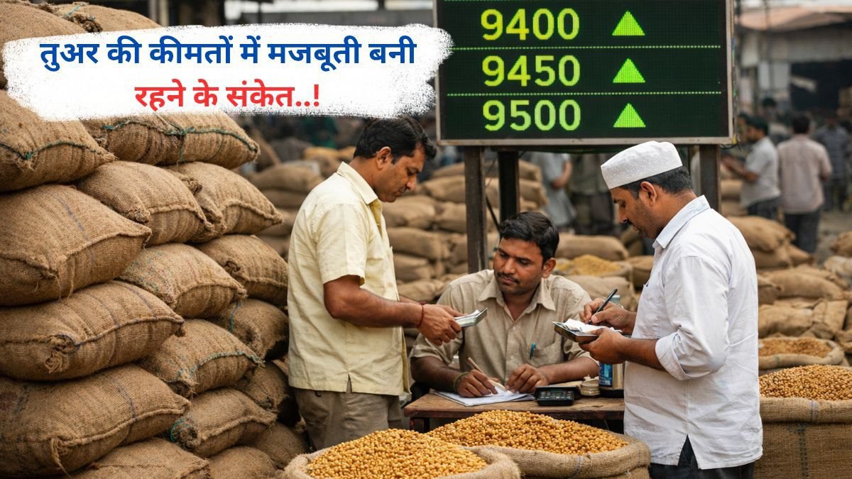 तुअर की कीमतों में मजबूती बनी रहने के संकेत..!