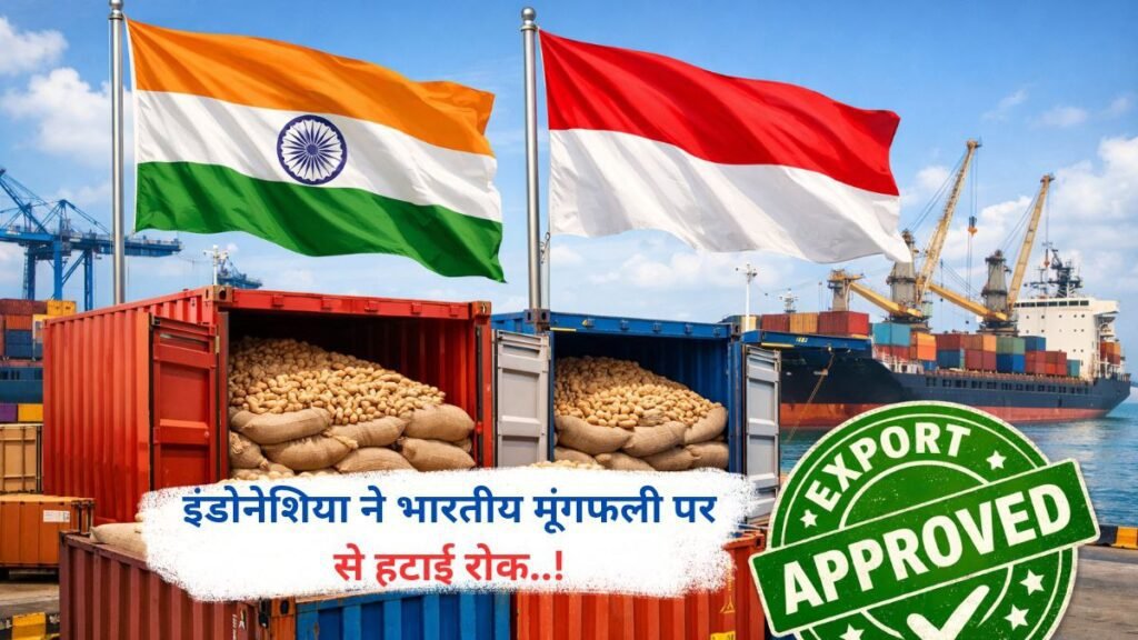 इंडोनेशिया ने भारतीय मूंगफली पर से हटाई रोक..!