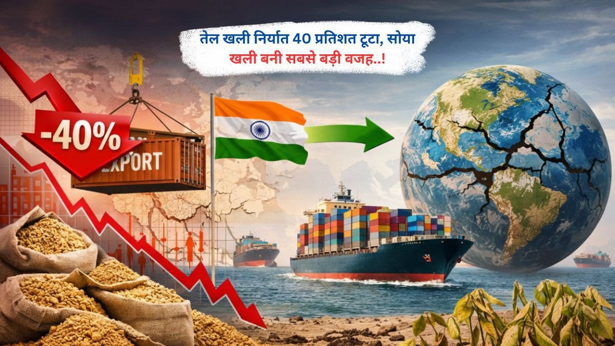 तेल खली निर्यात 40 प्रतिशत टूटा, सोया खली बनी सबसे बड़ी वजह..!