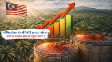मलेशियाई पाम तेल में रिकॉर्ड उत्पादन से सात साल के उच्चतम स्तर पर पहुंचा भंडार..!