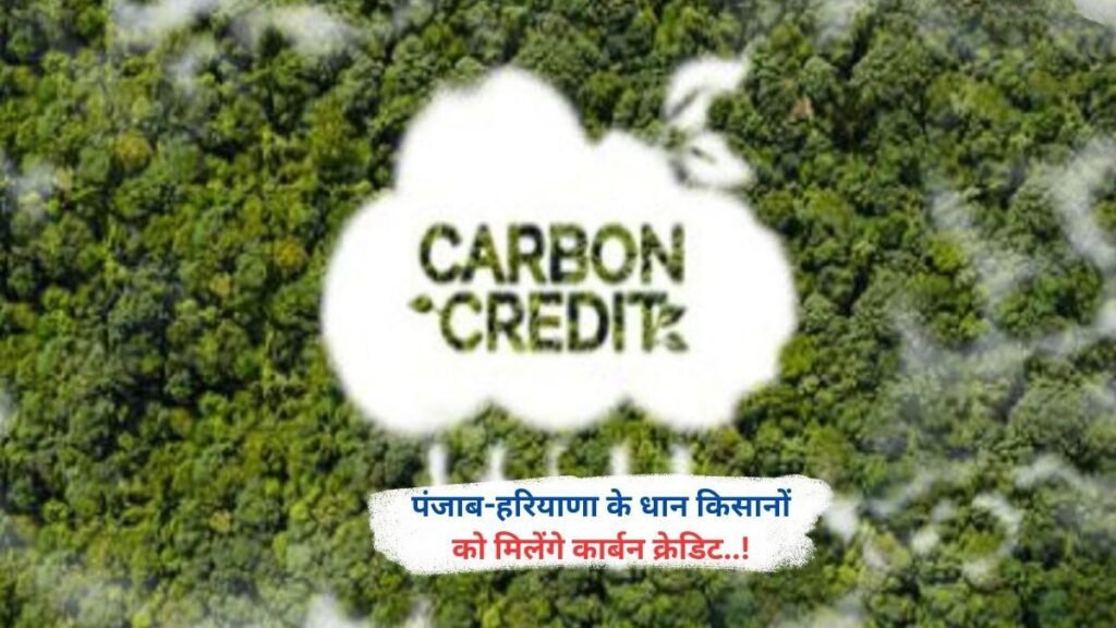 पंजाब-हरियाणा के धान किसानों को मिलेंगे कार्बन क्रेडिट..!