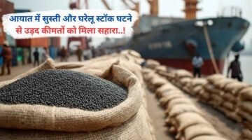 आयात में सुस्ती और घरेलू स्टॉक घटने से उड़द कीमतों को मिला सहारा..!