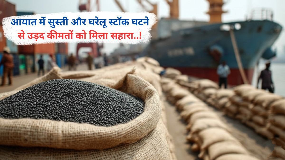 आयात में सुस्ती और घरेलू स्टॉक घटने से उड़द कीमतों को मिला सहारा..!