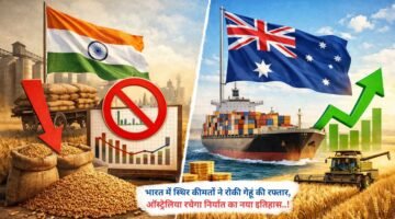 भारत में स्थिर कीमतों ने रोकी गेहूं की रफ्तार, ऑस्ट्रेलिया रचेगा निर्यात का नया इतिहास..!
