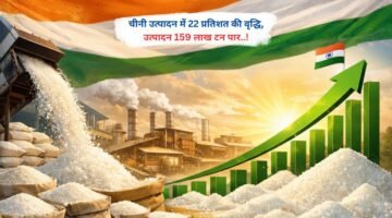 चीनी उत्पादन में 22 प्रतिशत की वृद्धि, उत्पादन 159 लाख टन पार..!