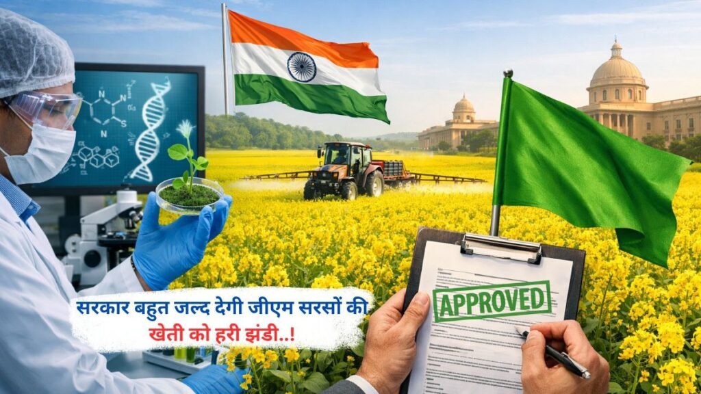 सरकार बहुत जल्द देगी जीएम सरसों की खेती को हरी झंडी..!