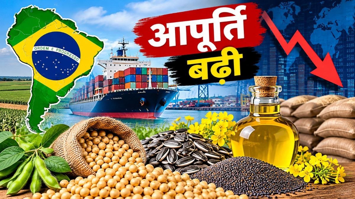 दक्षिण अमेरिका से तिलहन आपूर्ति बढ़ने और वैश्विक बाजार में कीमतों पर दबाव का दृश्य