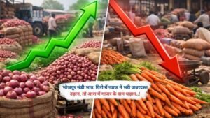 भोजपुर मंडी भाव: पिरो में प्याज ने भरी जबरदस्त उड़ान, तो आरा में गाजर के दाम धड़ाम..!