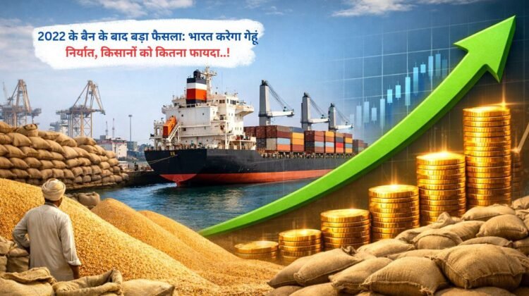 2022 के बैन के बाद बड़ा फैसला: भारत करेगा गेहूं निर्यात, किसानों को कितना फायदा..!