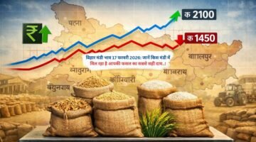 बिहार मंडी भाव 17 फरवरी 2026: जानें किस मंडी में मिल रहा है आपकी फसल का सबसे सही दाम..!