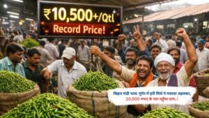बिहार मंडी भाव: मुंगेर में हरी मिर्च ने मचाया तहलका, 10,500 रुपए के पार पहुँचा दाम..!