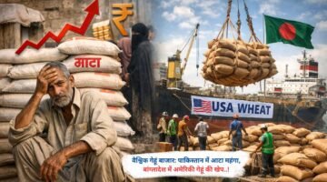 वैश्विक गेहूं बाजार: पाकिस्तान में आटा महंगा, बांग्लादेश में अमेरिकी गेहूं की खेप..!
