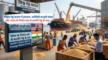 वैश्विक गेहूं बाजार में हलचल: अमेरिकी कानूनी संकट और भारत के निर्यात दांव से बदलेंगे गेहूं के दाम..!