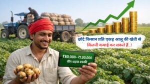 छोटे किसान प्रति एकड़ आलू की खेती से कितनी कमाई कर सकते हैं..!