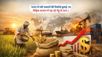 भारत में रबी की रिकॉर्ड बुवाई, पर वैश्विक बाजार में चढ़ रहे गेहूं के दाम..!