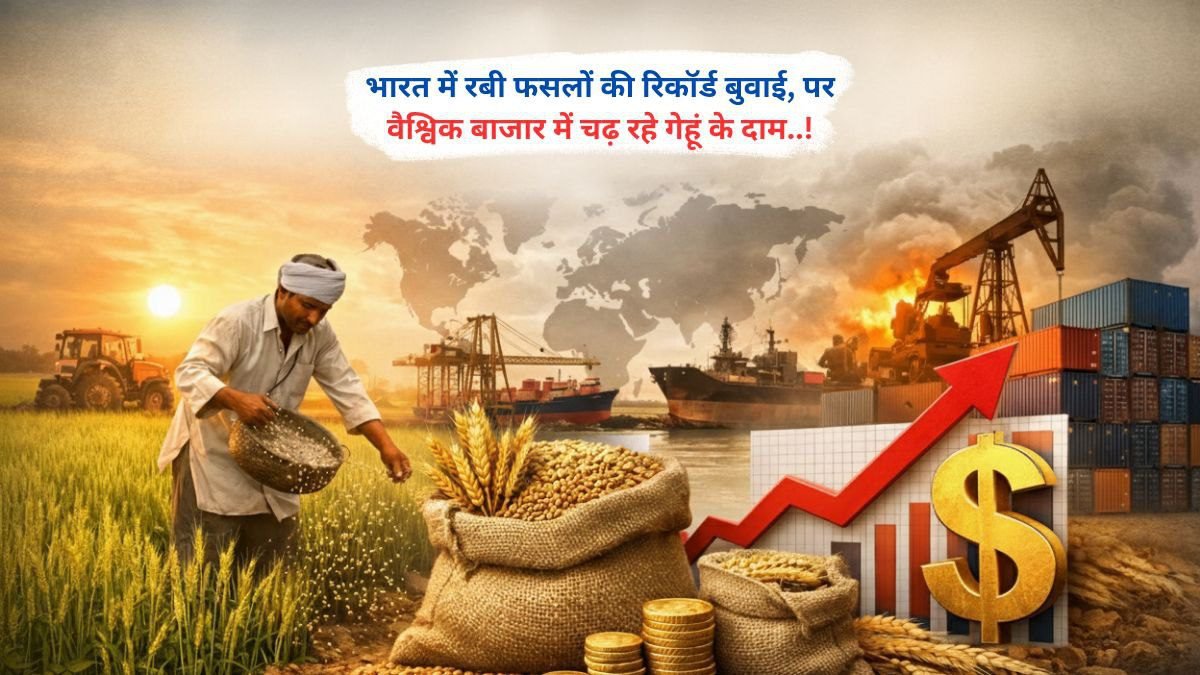 भारत में रबी की रिकॉर्ड बुवाई, पर वैश्विक बाजार में चढ़ रहे गेहूं के दाम..!