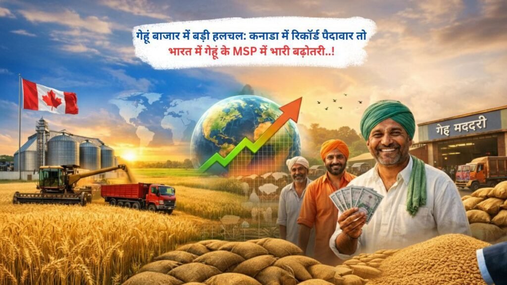 गेहूं बाजार में बड़ी हलचल: कनाडा में रिकॉर्ड पैदावार, भारत में गेहूं के MSP में भारी बढ़ोतरी..!
