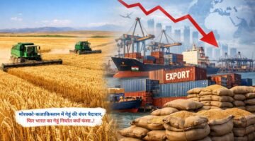 मोरक्को-कजाकिस्तान में गेहूं की बंपर पैदावार, फिर भारत का गेहूं निर्यात क्यों फंसा..!
