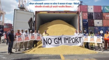 जीएम सोयाखली आयात पर सोपा ने सरकार से कहा- 'विदेशी सोयाबीन से बर्बाद हो जाएंगे किसान..!