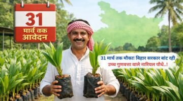 31 मार्च तक मौका! बिहार सरकार बांट रही उच्च गुणवत्ता वाले नारियल पौधे..!