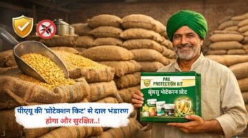 पीएयू की 'प्रोटेक्शन किट' से दाल भंडारण होगा और सुरक्षित..!