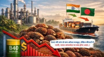 B40 की मांग से पाम ऑयल मजबूत, लेकिन कीमतों में नरमी, भारत-बांग्लादेश पर क्या होगा असर..!