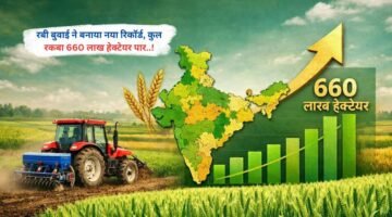 रबी बुवाई ने बनाया नया रिकॉर्ड, कुल रकबा 660 लाख हेक्टेयर पार..!