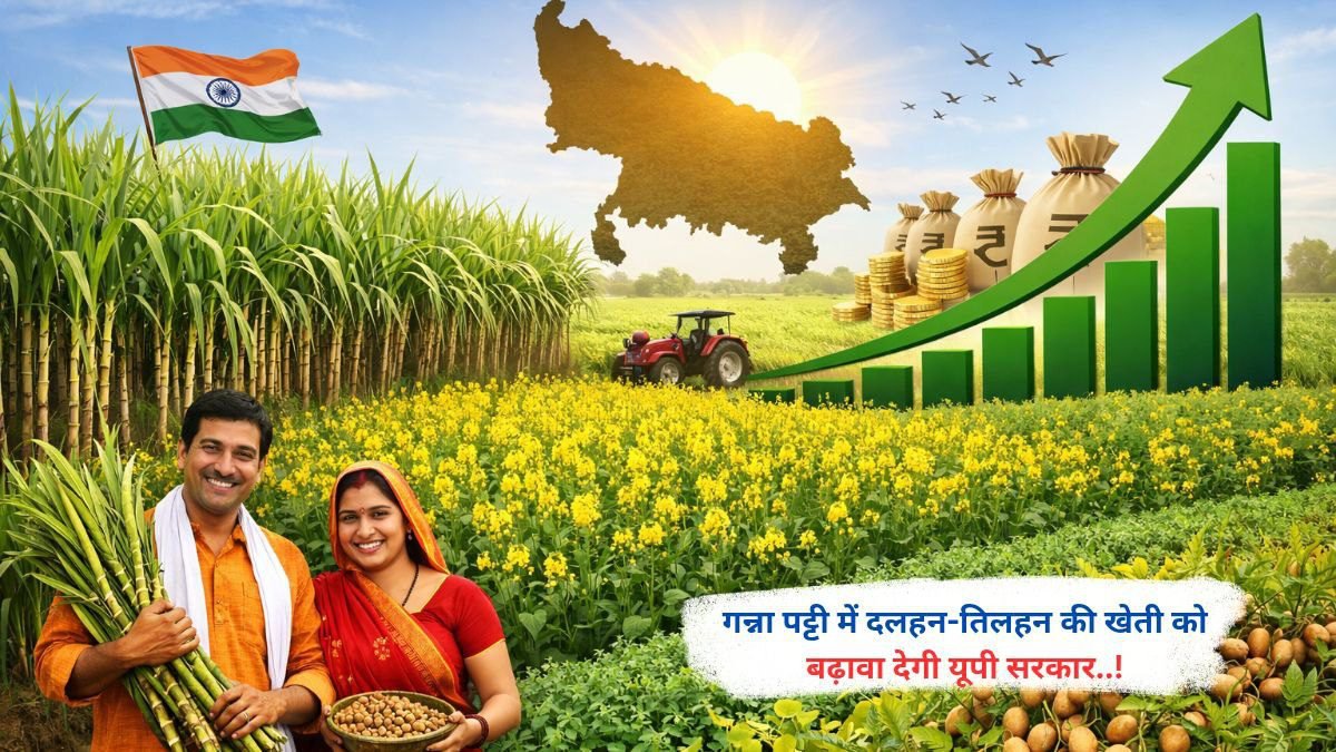 गन्ना पट्टी में दलहन-तिलहन की खेती को बढ़ावा देगी यूपी सरकार..!