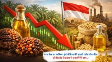 पाम तेल का भविष्य: इंडोनेशिया की सख्ती और सोयाबीन की रिकॉर्ड पैदावार से क्या गिरेंगे दाम..!