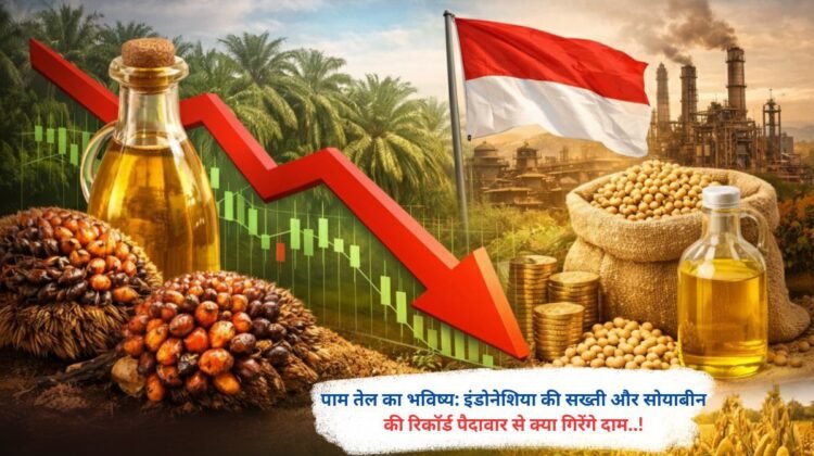 पाम तेल का भविष्य: इंडोनेशिया की सख्ती और सोयाबीन की रिकॉर्ड पैदावार से क्या गिरेंगे दाम..!