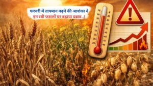 फरवरी में तापमान बढ़ने की आशंका ने इन रबी फसलों पर बढ़ाया दबाव..!