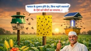 फसल के दुश्मन होंगे ढेर, बिना महंगे रसायनों के ऐसे करें कीटों का सफाया..!