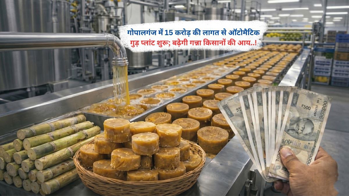 गोपालगंज में 15 करोड़ की लागत से ऑटोमैटिक गुड़ प्लांट शुरू; बढ़ेगी गन्ना किसानों की आय..!