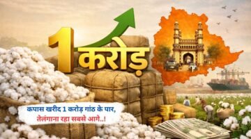 कपास खरीद 1 करोड़ गांठ के पार, तेलंगाना रहा सबसे आगे..!