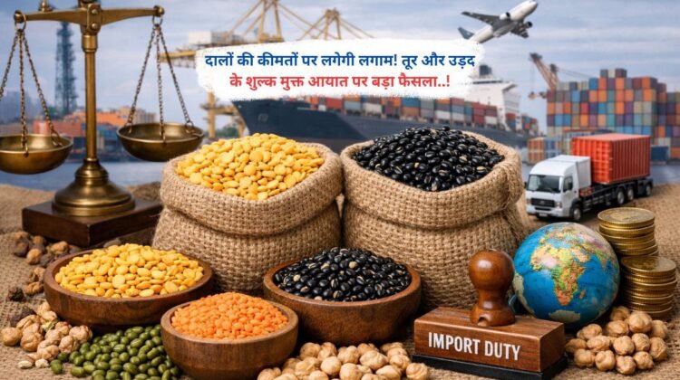 दालों की कीमतों पर लगेगी लगाम! तूर और उड़द के शुल्क मुक्त आयात पर बड़ा फैसला..!